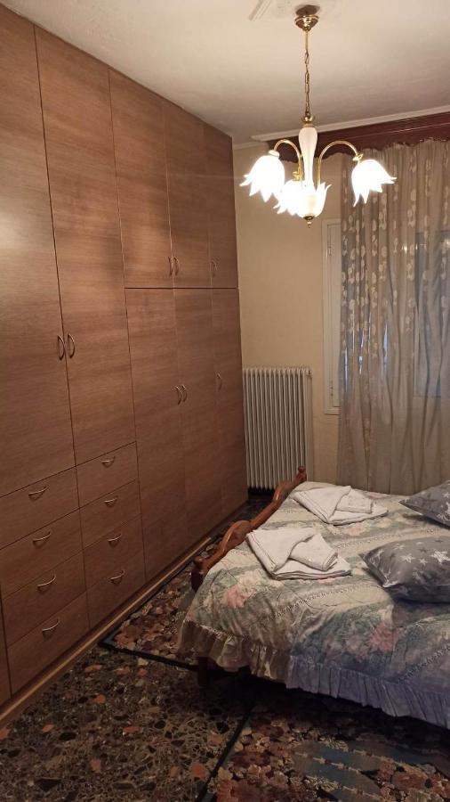 Panourgia'S House Διαμέρισμα Τρίκαλα Εξωτερικό φωτογραφία