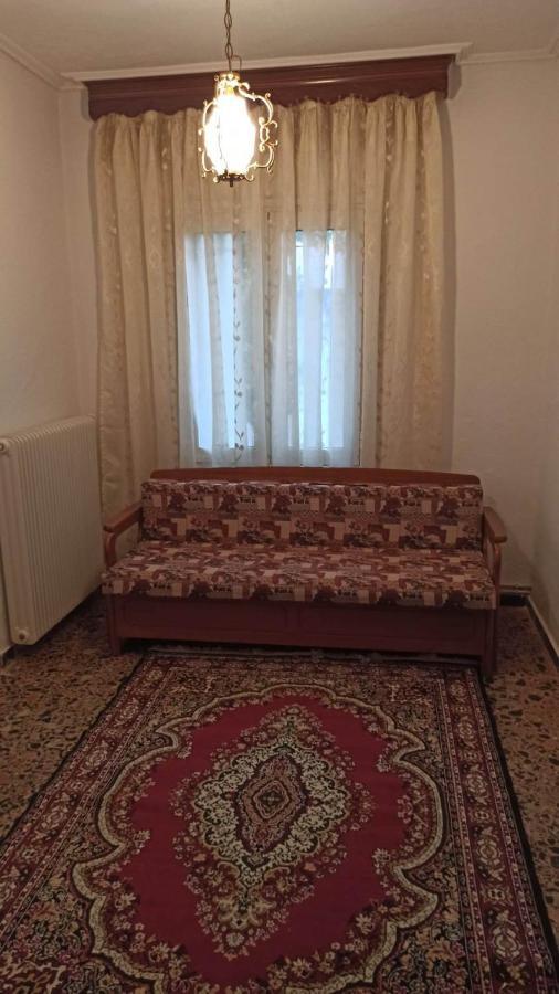 Panourgia'S House Διαμέρισμα Τρίκαλα Εξωτερικό φωτογραφία