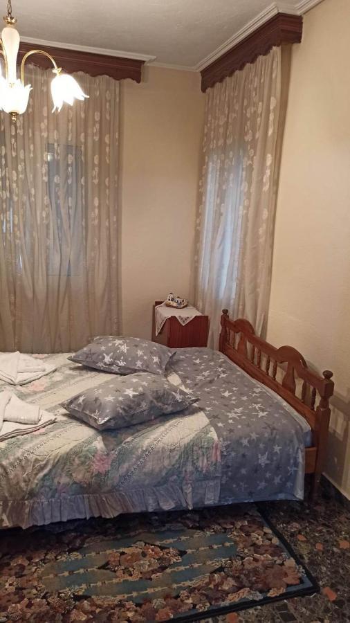 Panourgia'S House Διαμέρισμα Τρίκαλα Εξωτερικό φωτογραφία